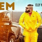 FEEM LYRICS – ELLY MANGAT New Song 2019