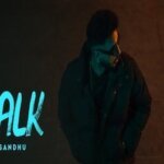 C WALK LYRICS – Navaan Sandhu